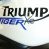 TRIUMPH TIGER 800XC